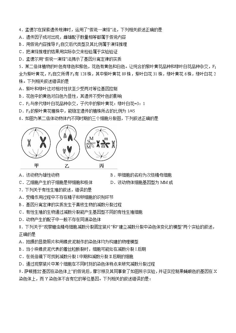 2022湖北省鄂东南三校联考高一下学期阶段（二）考试生物试题（含答案）第2页