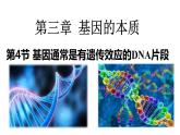 3.4基因通常是有遗传效应的DNA片段课件2021-2022学年高一下学期生物人教版必修2