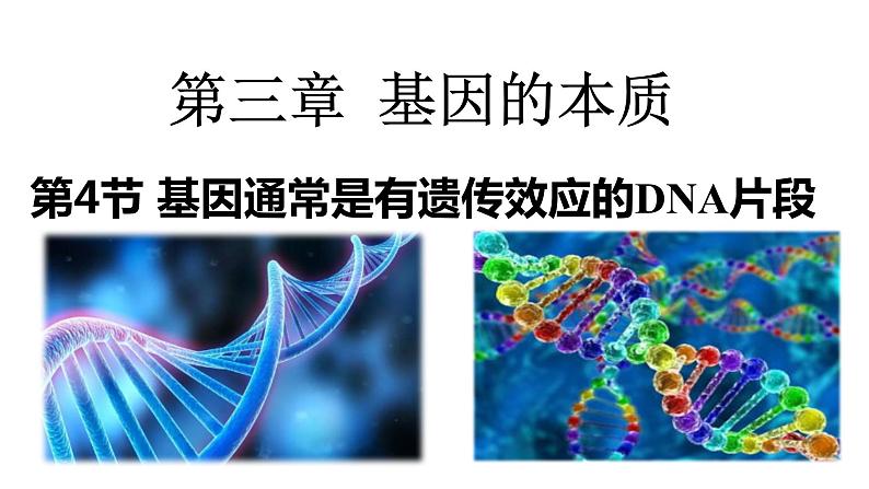 3.4基因通常是有遗传效应的DNA片段课件2021-2022学年高一下学期生物人教版必修2第1页