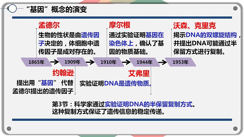 3.4基因通常是有遗传效应的DNA片段课件2021-2022学年高一下学期生物人教版必修2第2页