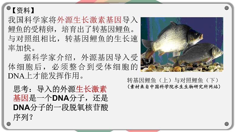 3.4基因通常是有遗传效应的DNA片段课件2021-2022学年高一下学期生物人教版必修2第5页