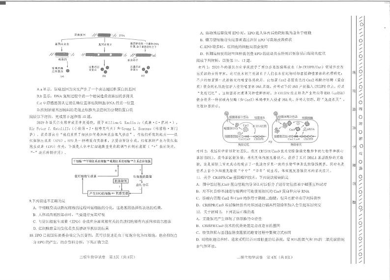 2022年天津市河东区高三二模生物试题含答案02