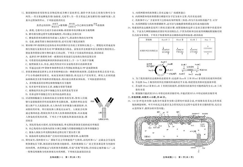2021-2022学年湖北省普通高中学业水平等级考试模拟演练（一）生物试题（PDF版）第3页