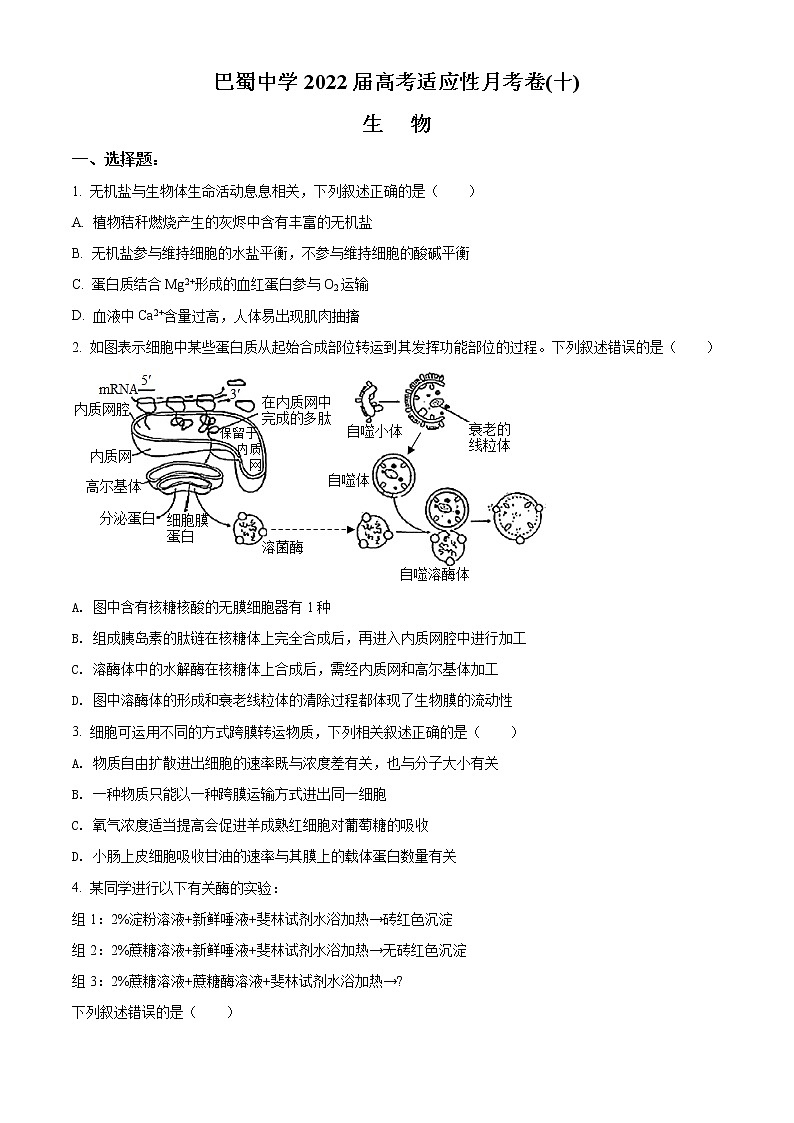 2022届重庆市巴蜀中学高考适应性月考（十）生物试题第1页