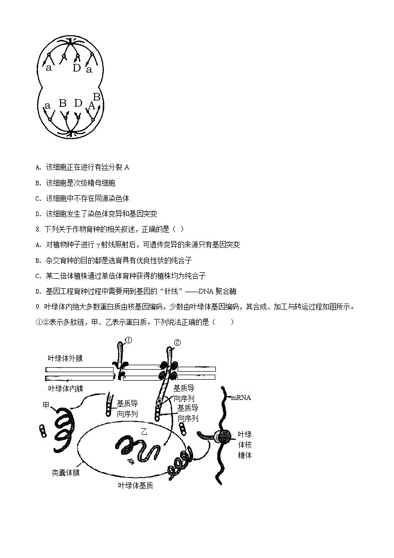 2022届重庆市巴蜀中学高考适应性月考（十）生物试题第3页