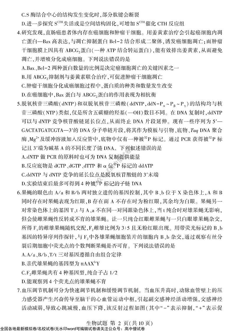 2022年山东省临沂市高三三模生物试题含答案02