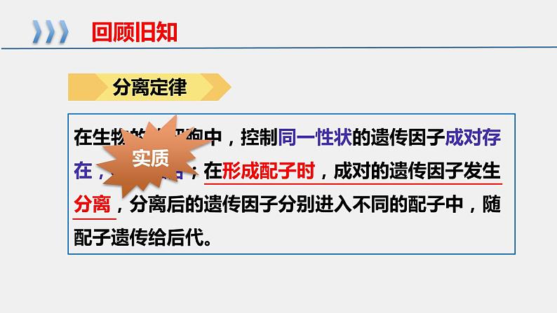 2021-2022学年高一下学期生物人教版必修二 1.2.1 孟德尔的豌豆杂交实验（二）课件（18张PPT)第2页