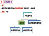 2021-2022学年高一下学期生物人教版必修二 5.3 人类遗传病课件（35张PPT)