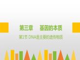 2021-2022学年高一下学期生物人教版必修二 3.1 DNA是主要的遗传物质课件（40张PPT)