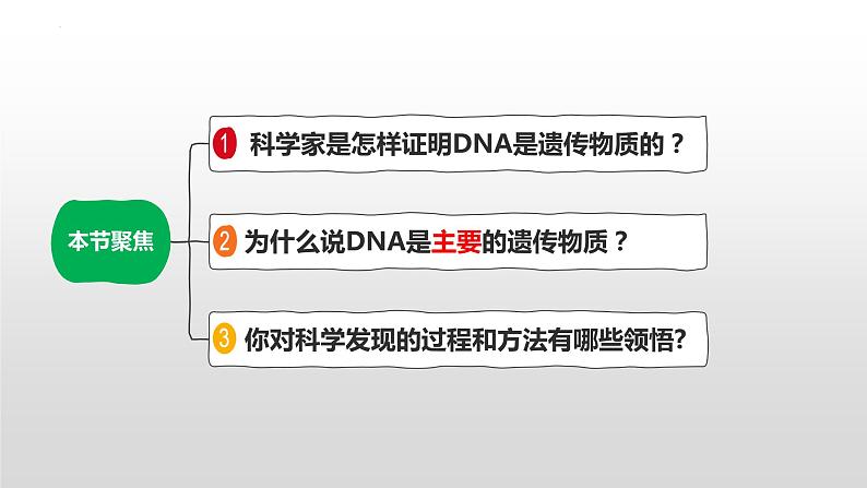 2021-2022学年高一下学期生物人教版必修二 3.1 DNA是主要的遗传物质课件（40张PPT)02