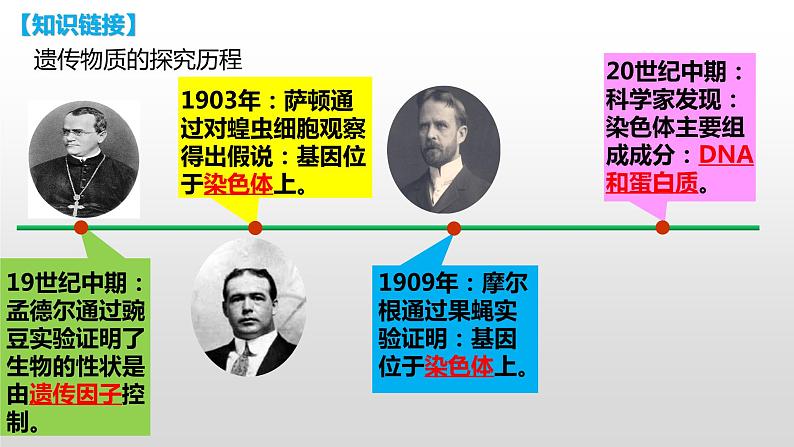 2021-2022学年高一下学期生物人教版必修二 3.1 DNA是主要的遗传物质课件（40张PPT)03