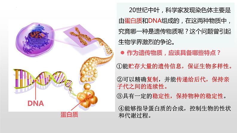 2021-2022学年高一下学期生物人教版必修二 3.1 DNA是主要的遗传物质课件（40张PPT)04