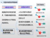 2021-2022学年高一下学期生物人教版必修二 3.1 DNA是主要的遗传物质课件（40张PPT)