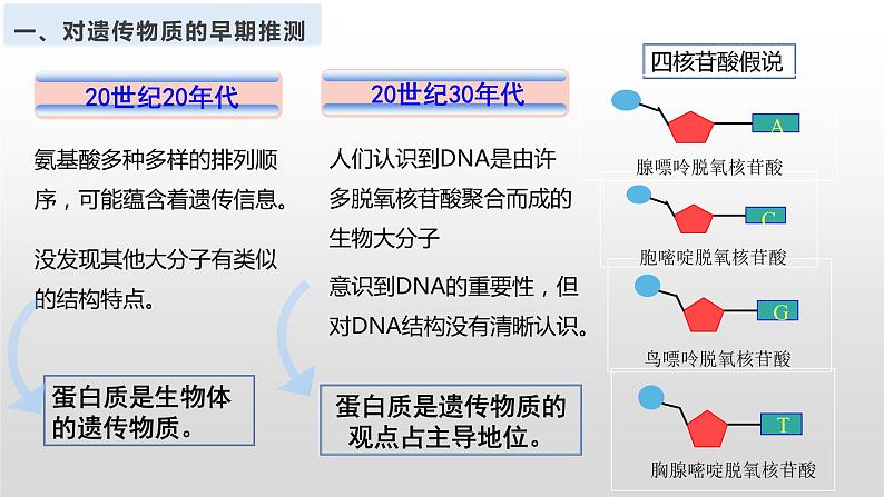 2021-2022学年高一下学期生物人教版必修二 3.1 DNA是主要的遗传物质课件（40张PPT)05