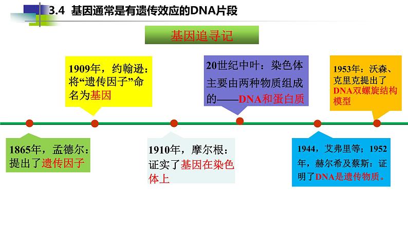 2021-2022学年高一下学期生物人教版必修二 3.4 基因通常是有遗传效应的DNA片段课件（23张PPT)01