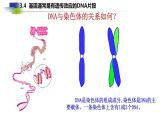 2021-2022学年高一下学期生物人教版必修二 3.4 基因通常是有遗传效应的DNA片段课件（23张PPT)