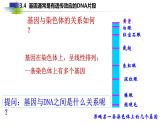 2021-2022学年高一下学期生物人教版必修二 3.4 基因通常是有遗传效应的DNA片段课件（23张PPT)