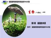 2021-2022学年高一下学期生物人教版必修二 3.4 基因通常是有遗传效应的DNA片段课件（23张PPT)