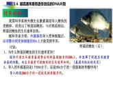 2021-2022学年高一下学期生物人教版必修二 3.4 基因通常是有遗传效应的DNA片段课件（23张PPT)