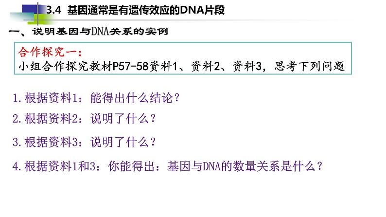 2021-2022学年高一下学期生物人教版必修二 3.4 基因通常是有遗传效应的DNA片段课件（23张PPT)06