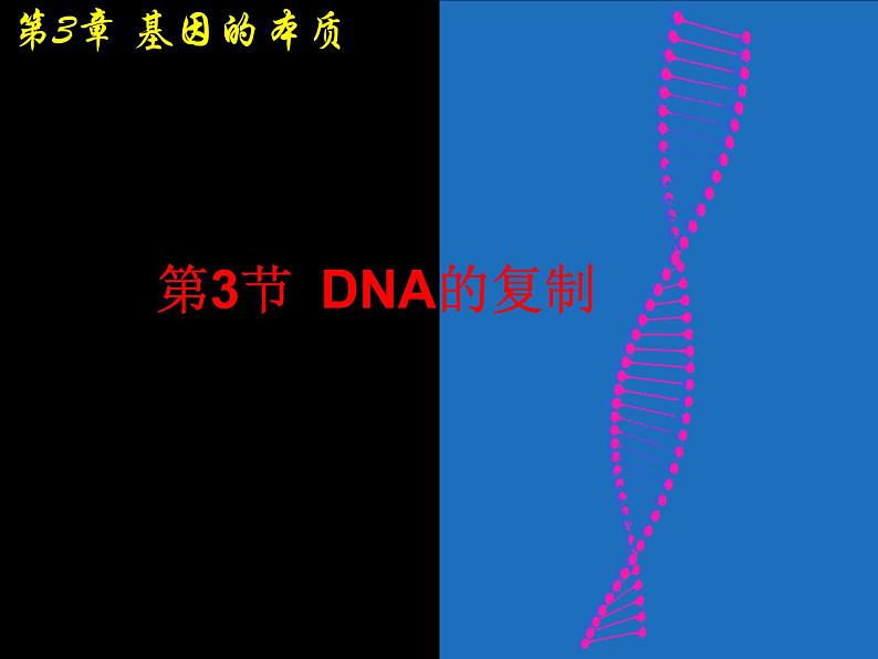 2021-2022学年高一下学期生物人教版必修二 3.3 DNA的复制课件（37张PPT)01