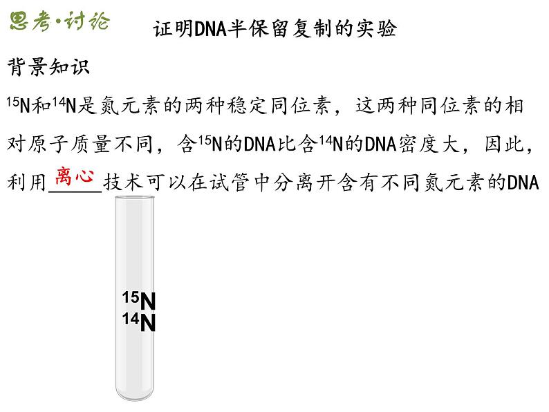 2021-2022学年高一下学期生物人教版必修二 3.3 DNA的复制课件（37张PPT)07