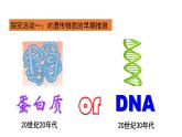 2021-2022学年高一下学期生物人教版必修二 3.1 DNA是主要的遗传物质课件（31张PPT)
