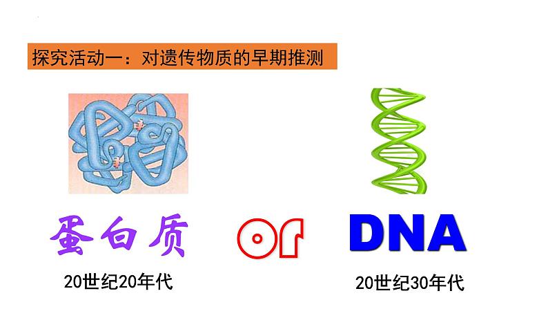 2021-2022学年高一下学期生物人教版必修二 3.1 DNA是主要的遗传物质课件（31张PPT)第4页