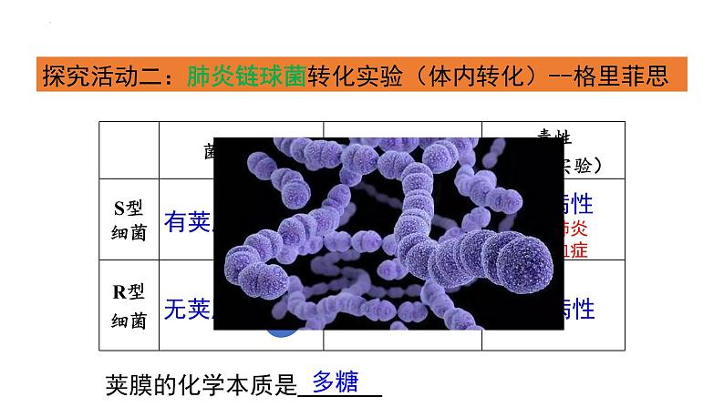 2021-2022学年高一下学期生物人教版必修二 3.1 DNA是主要的遗传物质课件（31张PPT)第6页