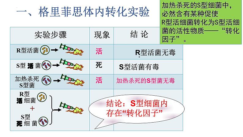 2021-2022学年高一下学期生物人教版必修二 3.1 DNA是主要的遗传物质课件（31张PPT)第7页