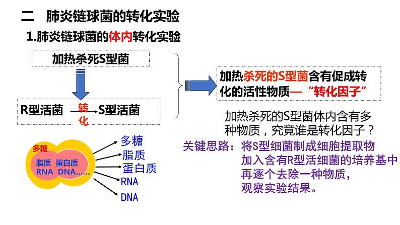 2021-2022学年高一下学期生物人教版必修二 3.1 DNA是主要的遗传物质课件（31张PPT)第8页