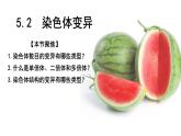 2021-2022学年高一下学期生物人教版必修二 5.2 染色体变异课件（35张PPT)
