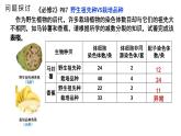 2021-2022学年高一下学期生物人教版必修二 5.2 染色体变异课件（35张PPT)