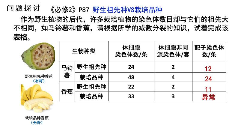 2021-2022学年高一下学期生物人教版必修二 5.2 染色体变异课件（35张PPT)03