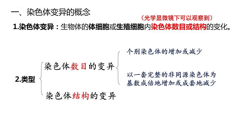 2021-2022学年高一下学期生物人教版必修二 5.2 染色体变异课件（35张PPT)05