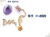 2021-2022学年高一下学期生物人教版必修二 3.2 DNA的结构课件（17张PPT)
