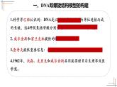 2021-2022学年高一下学期生物人教版必修二 3.2 DNA的结构课件（17张PPT)