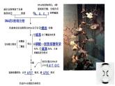 2021-2022学年高一下学期生物人教版必修二 3.2 DNA的结构课件（17张PPT)