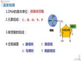 2021-2022学年高一下学期生物人教版必修二 3.2 DNA的结构课件（17张PPT)