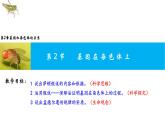 2021-2022学年高一下学期生物人教版必修二 2.2 基因在染色体上课件（24张PPT)