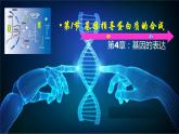 2021-2022学年高一下学期生物人教版必修二 4.1 基因指导蛋白质的合成课件（40张PPT)