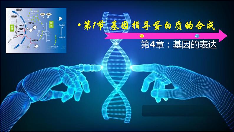 2021-2022学年高一下学期生物人教版必修二 4.1 基因指导蛋白质的合成课件（40张PPT)01