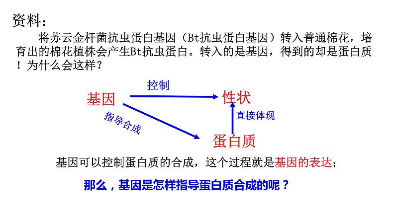 2021-2022学年高一下学期生物人教版必修二 4.1 基因指导蛋白质的合成课件（40张PPT)02