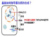 2021-2022学年高一下学期生物人教版必修二 4.1 基因指导蛋白质的合成课件（40张PPT)