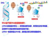 2021-2022学年高一下学期生物人教版必修二 4.1 基因指导蛋白质的合成课件（40张PPT)