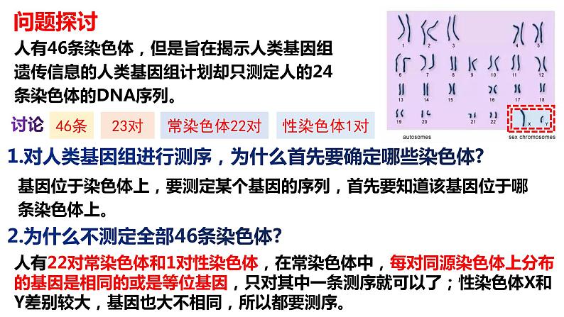 2021-2022学年高一下学期生物人教版必修二 2.2 基因在染色体上课件（80张PPT)第3页