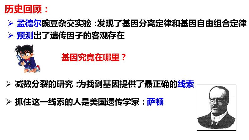 2021-2022学年高一下学期生物人教版必修二 2.2 基因在染色体上课件（80张PPT)第4页