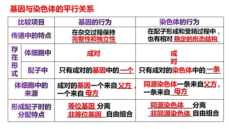 2021-2022学年高一下学期生物人教版必修二 2.2 基因在染色体上课件（80张PPT)第8页