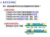 2021-2022学年高一下学期生物人教版必修二 5.1 基因突变和基因重组课件（40张PPT)