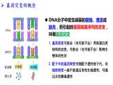 2021-2022学年高一下学期生物人教版必修二 5.1 基因突变和基因重组课件（40张PPT)